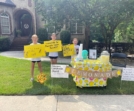 Cousins Lemonade Stand