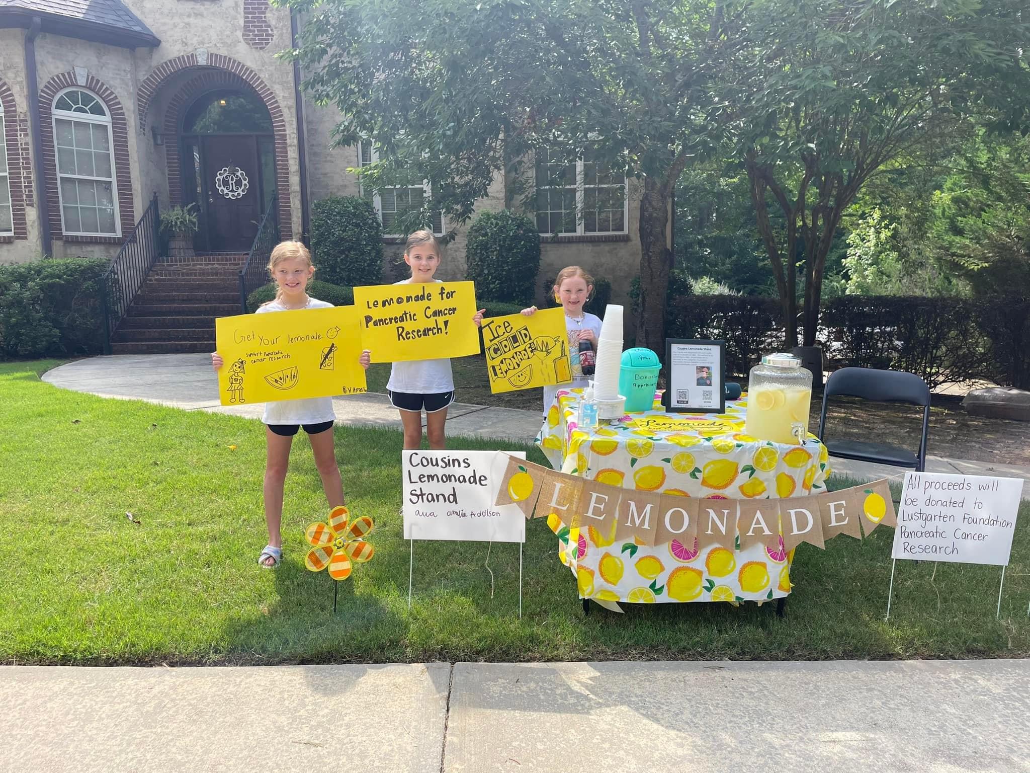 Cousins Lemonade Stand